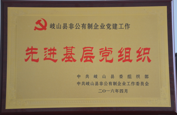 通运集团党总支荣获由岐山县委组织部、县非公党建委员会授予的“先进基层党组